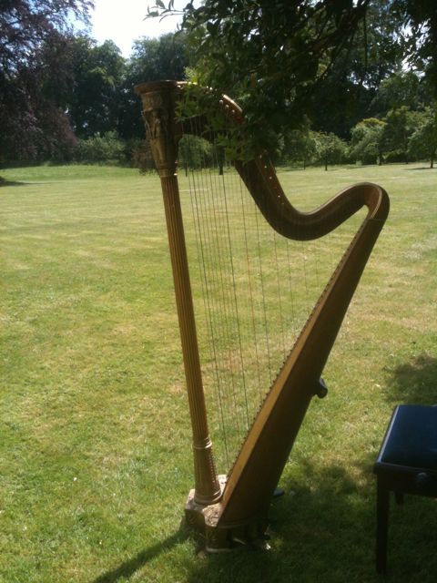 Katie McClaughry Wedding Harpist Wiltshire
