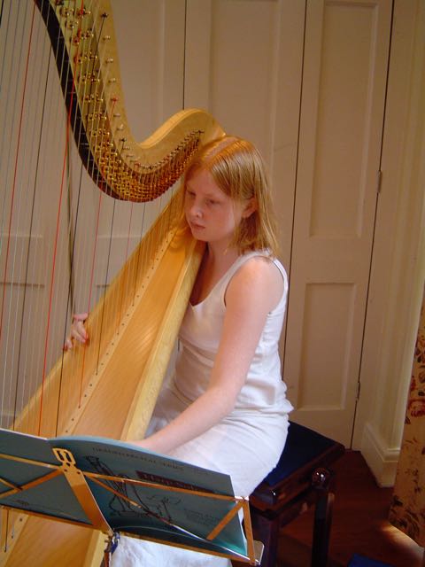 Katie McClaughry Wedding Harpist Devon