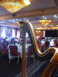 Katie McClaughry Wedding Harpist Devon